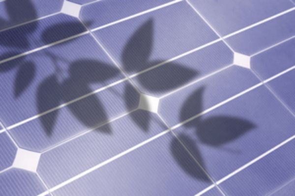 Nguyên nhân phổ biến nhất khiến Solar Light hoạt động kém là do tấm pin năng lượng không nhận đủ ánh nắng mặt trời