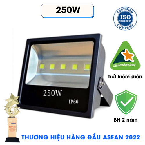 ĐÈN PHA 5 LED COB 250W IP66