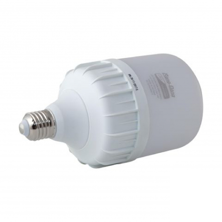 Đèn LED Bulb TR100N1/30W E27 SS Rạng Đông