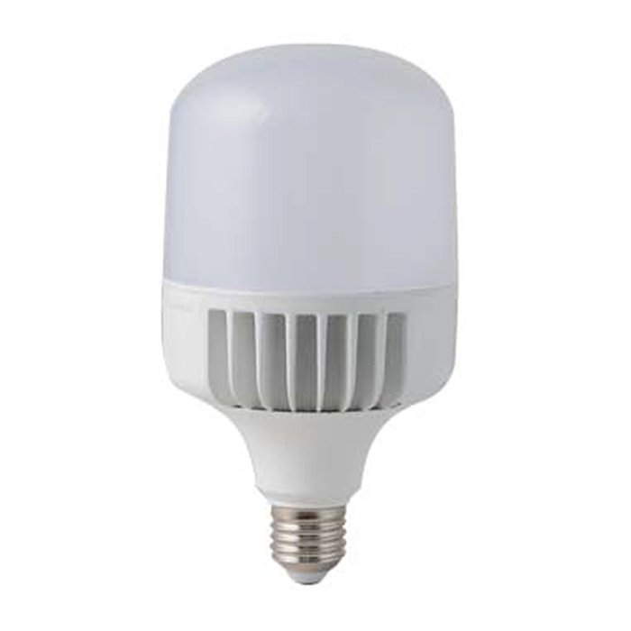 Đèn LED Bulb Trụ 40W TR100/40W Rạng Đông