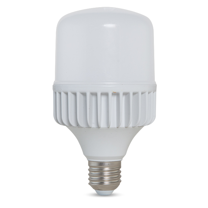 Đèn LED Búp Trụ 30W Rạng Đông LED TR100 NĐ/30W.H