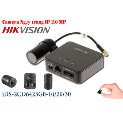 DS-2CD6425G0-10 DS-2CD6425G0-20 DS-2CD6425G0-30 Camera IP ngụy trang 2 megapixel