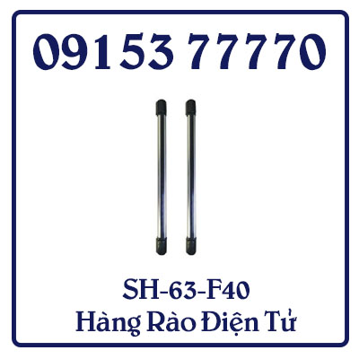 hàng rào điện tử