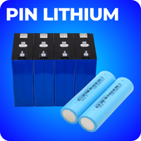 Pin Lithium